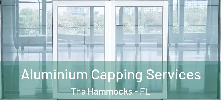  Aluminium Capping Services The Hammocks - FL
