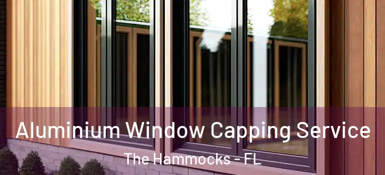  Aluminium Window Capping Service The Hammocks - FL