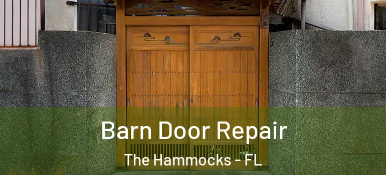  Barn Door Repair The Hammocks - FL