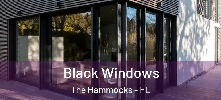  Black Windows The Hammocks - FL