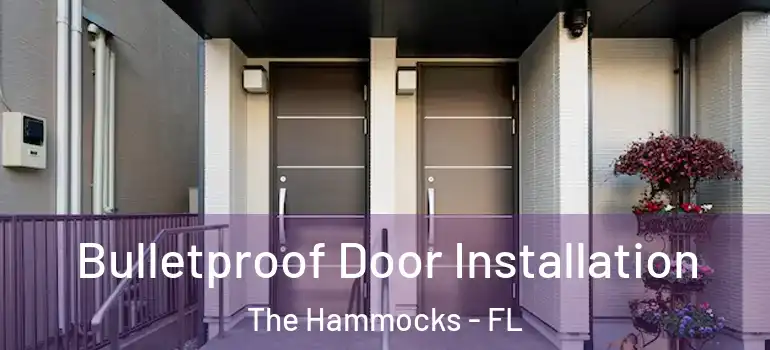  Bulletproof Door Installation The Hammocks - FL