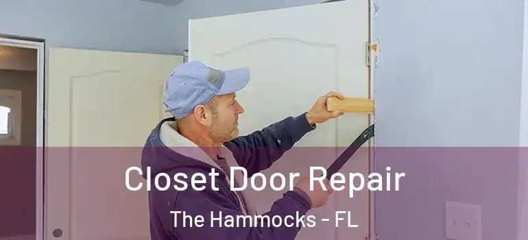  Closet Door Repair The Hammocks - FL