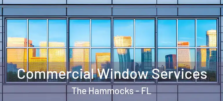  Commercial Window Services The Hammocks - FL