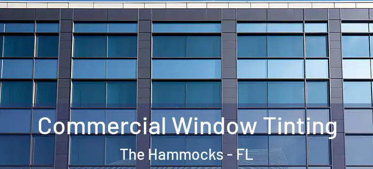  Commercial Window Tinting The Hammocks - FL