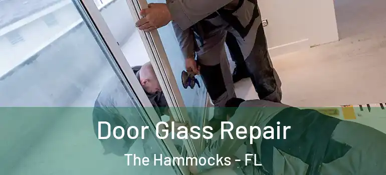  Door Glass Repair The Hammocks - FL