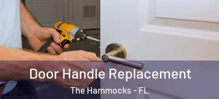  Door Handle Replacement The Hammocks - FL