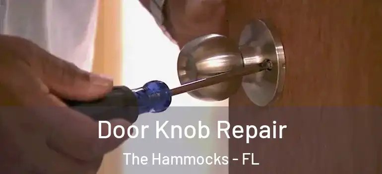  Door Knob Repair The Hammocks - FL