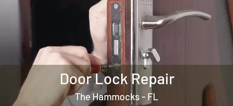  Door Lock Repair The Hammocks - FL