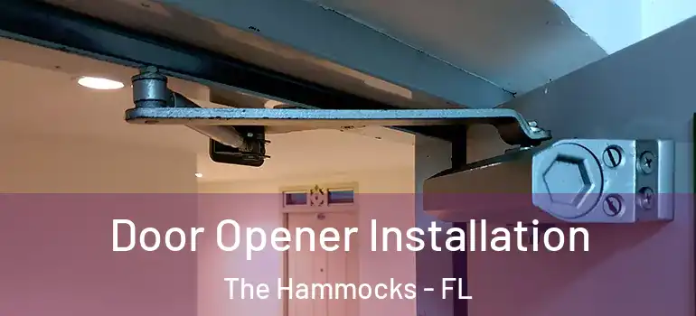  Door Opener Installation The Hammocks - FL