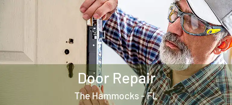  Door Repair The Hammocks - FL
