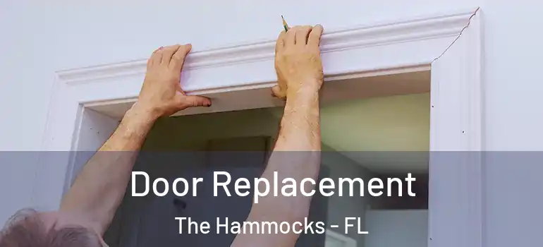 Door Replacement The Hammocks - FL