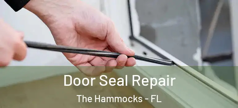  Door Seal Repair The Hammocks - FL