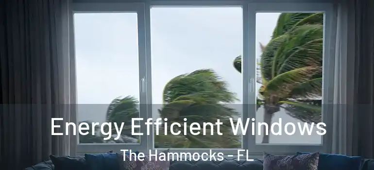  Energy Efficient Windows The Hammocks - FL