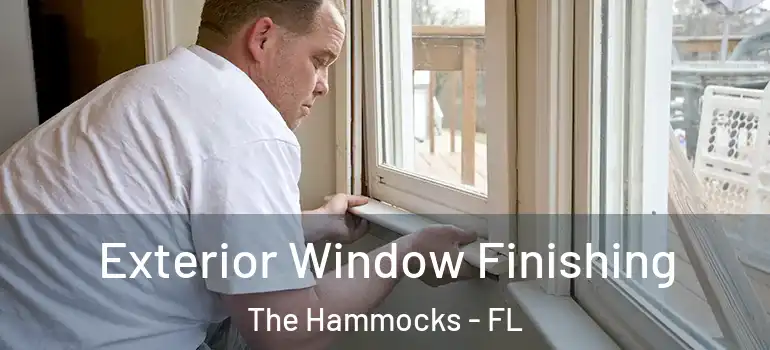  Exterior Window Finishing The Hammocks - FL