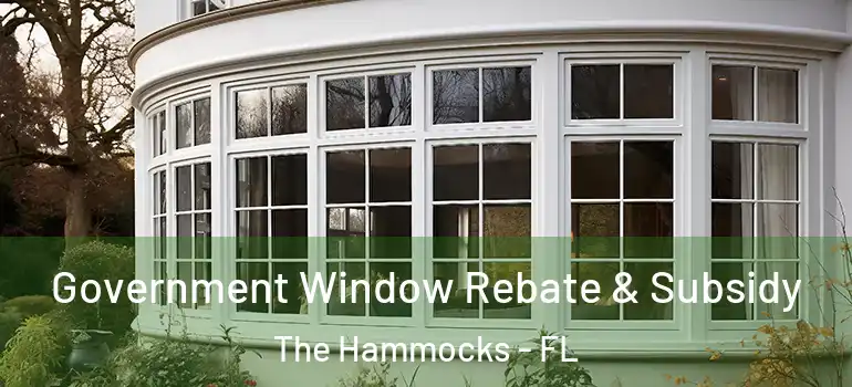  Government Window Rebate & Subsidy The Hammocks - FL