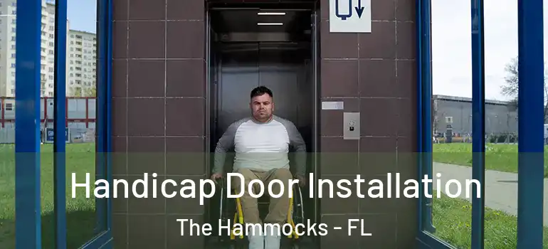 Handicap Door Installation The Hammocks - FL
