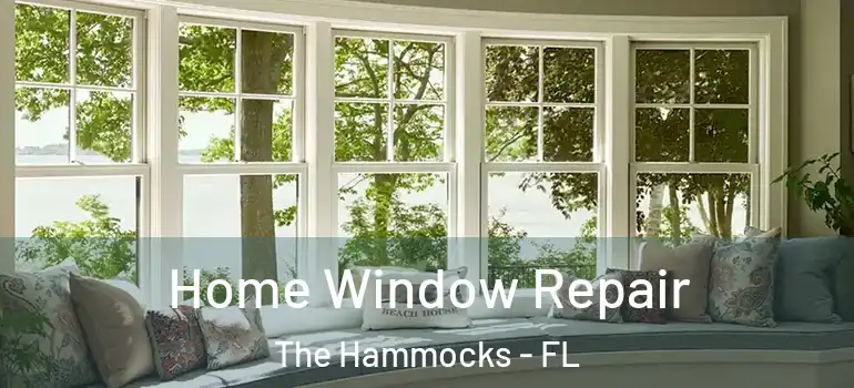  Home Window Repair The Hammocks - FL