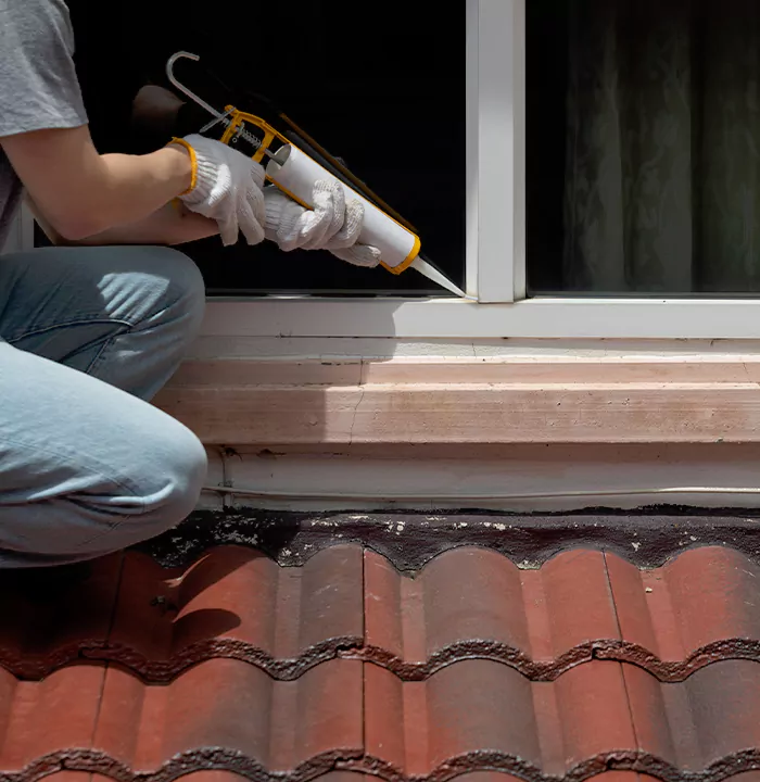 Roof Window Services in The Hammocks, Florida