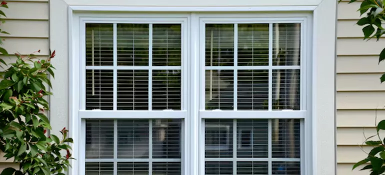 Custom Double Hung Windows in The Hammocks, FL