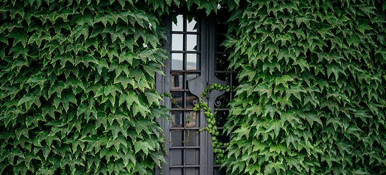 Garden Gate Repair in The Hammocks, FL