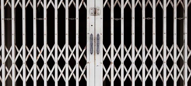 Steel Line Garage Door Repairs in The Hammocks, FL