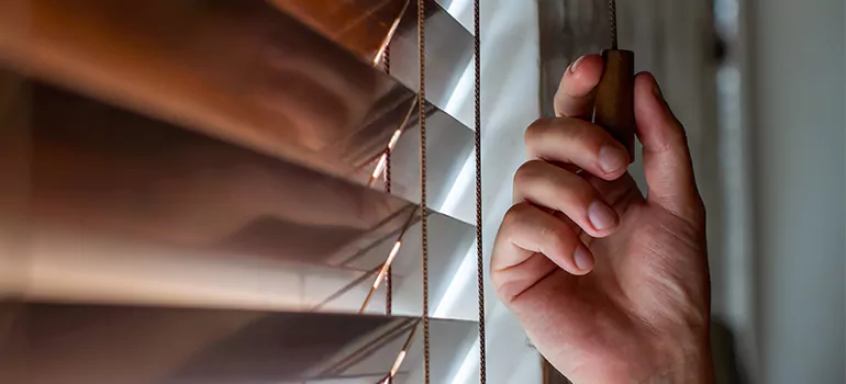 Double Roller Blinds in The Hammocks, FL