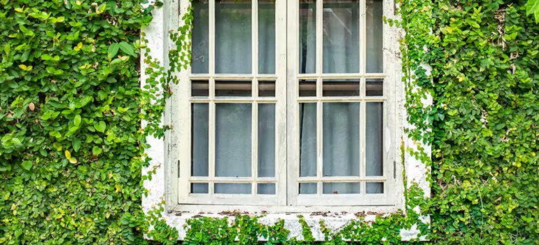 Garden Window Repair Near Me in The Hammocks, FL