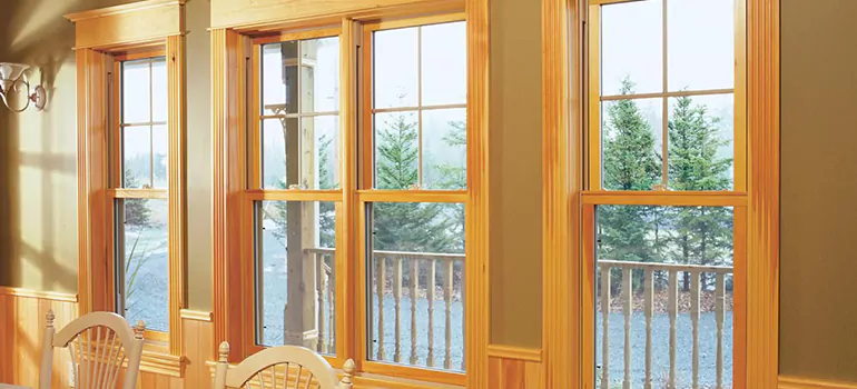 Government Incentives For Replacement Windows in The Hammocks, FL