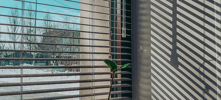 Commercial Window Blinds in The Hammocks, FL