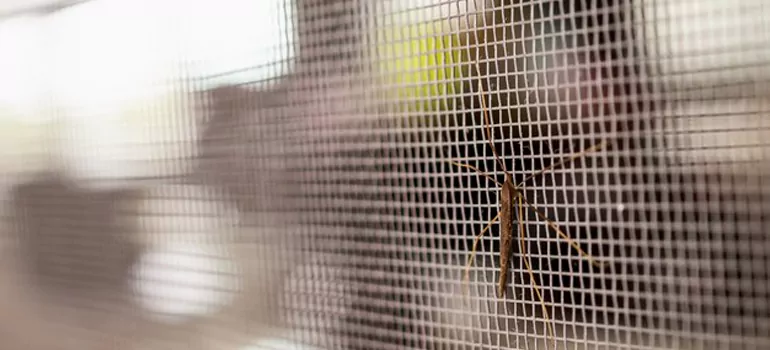 Repair Mosquito Mesh For Windows in The Hammocks, FL