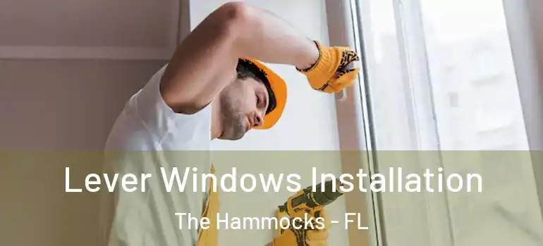  Lever Windows Installation The Hammocks - FL