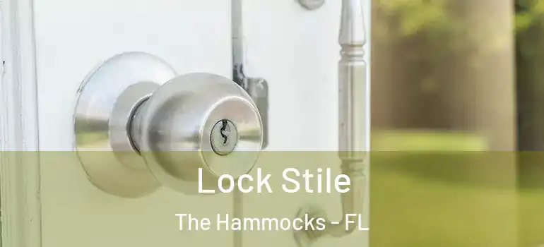  Lock Stile The Hammocks - FL