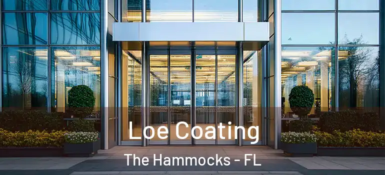  Loe Coating The Hammocks - FL