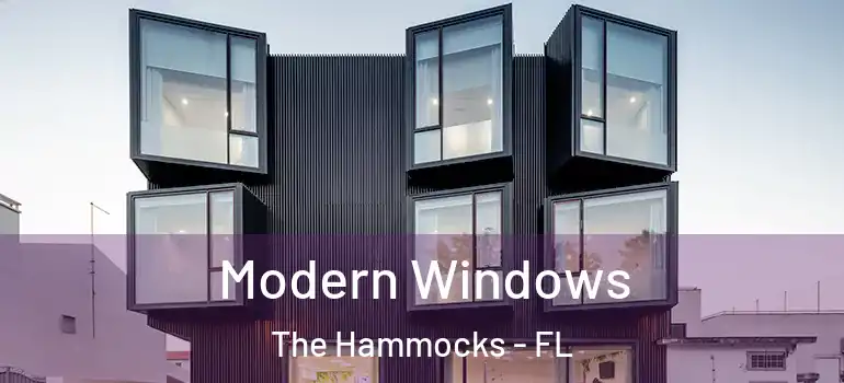  Modern Windows The Hammocks - FL