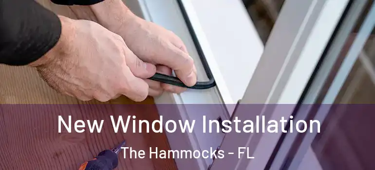  New Window Installation The Hammocks - FL