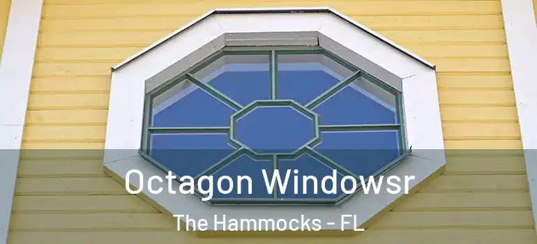  Octagon Windowsr The Hammocks - FL