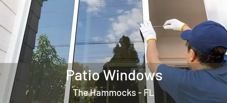  Patio Windows The Hammocks - FL