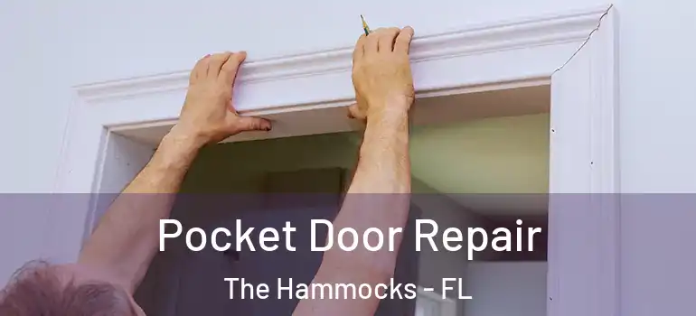  Pocket Door Repair The Hammocks - FL