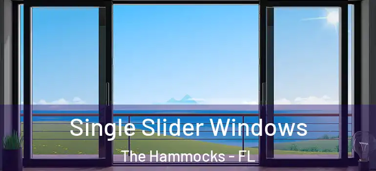  Single Slider Windows The Hammocks - FL