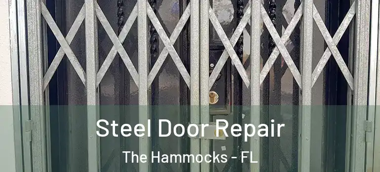  Steel Door Repair The Hammocks - FL