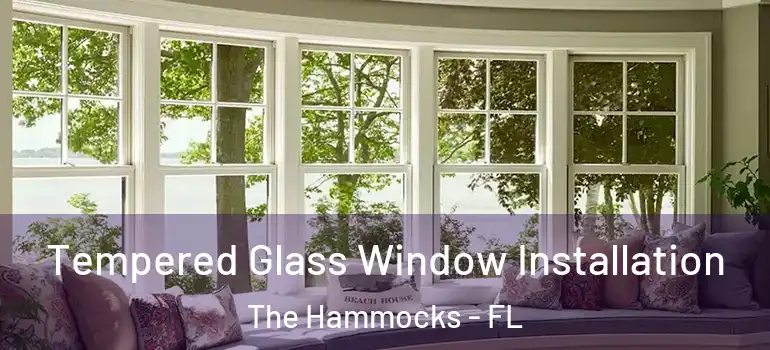  Tempered Glass Window Installation The Hammocks - FL