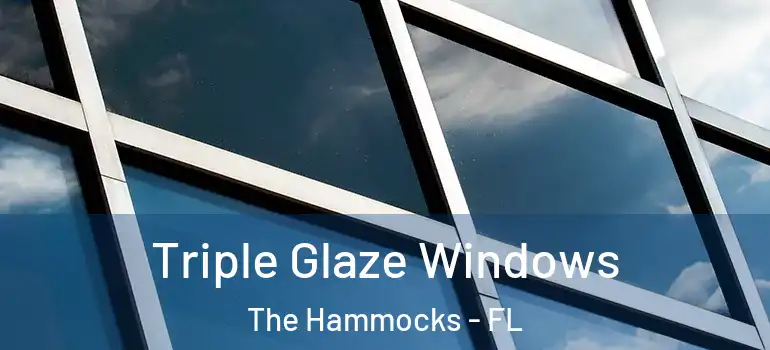  Triple Glaze Windows The Hammocks - FL