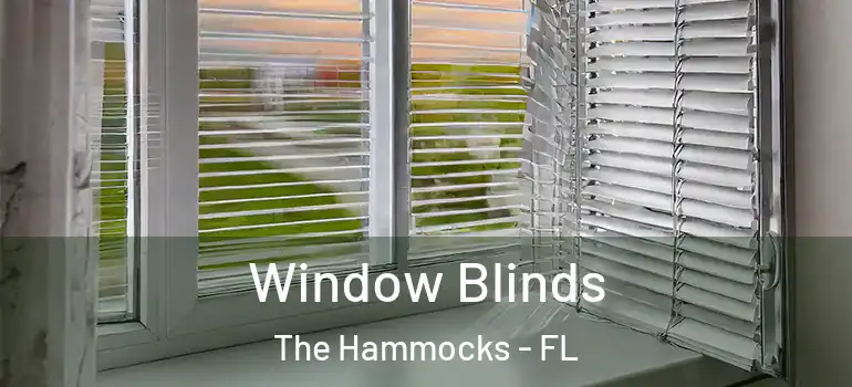  Window Blinds The Hammocks - FL