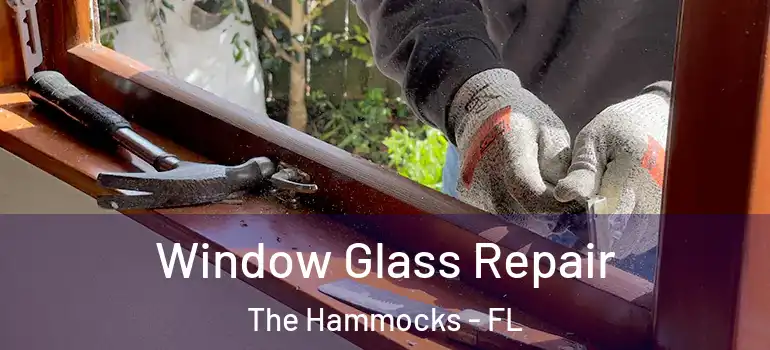  Window Glass Repair The Hammocks - FL
