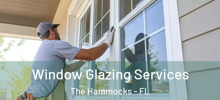  Window Glazing Services The Hammocks - FL