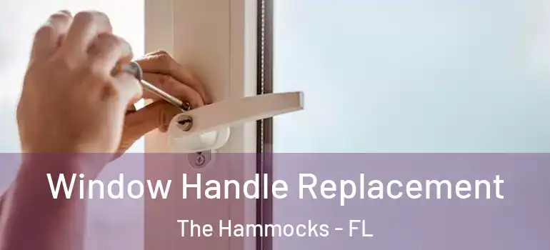  Window Handle Replacement The Hammocks - FL