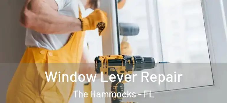 Window Lever Repair The Hammocks - FL