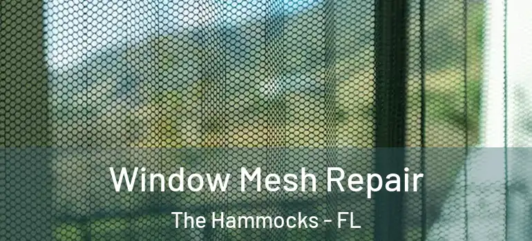  Window Mesh Repair The Hammocks - FL
