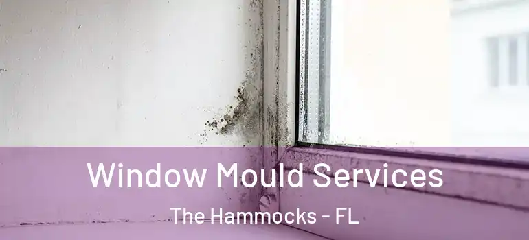  Window Mould Services The Hammocks - FL