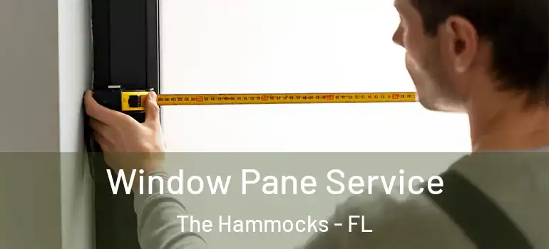  Window Pane Service The Hammocks - FL